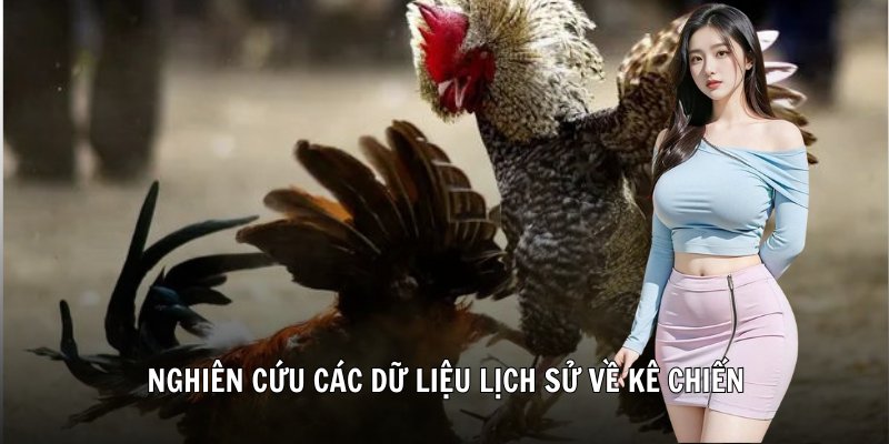 Nghiên cứu các dữ liệu lịch sử về kê chiến